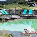 Cosy Avec Sauna, Piscine Bio, Proche Et A - Fr-1-589-408 Gerardmer
