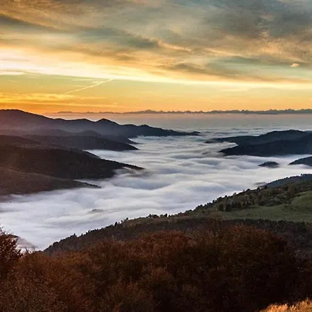 Cosy Avec Sauna, Piscine Bio, Proche Et à - Fr-1-589-408 Gérardmer