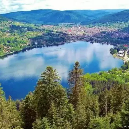 Apartment Cosy Avec Sauna, Piscine Bio, Proche Et A - Fr-1-589-408 Gerardmer