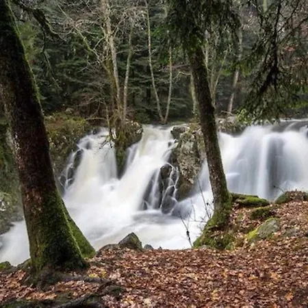 Cosy Avec Sauna, Piscine Bio, Proche Et à - Fr-1-589-408 Gérardmer