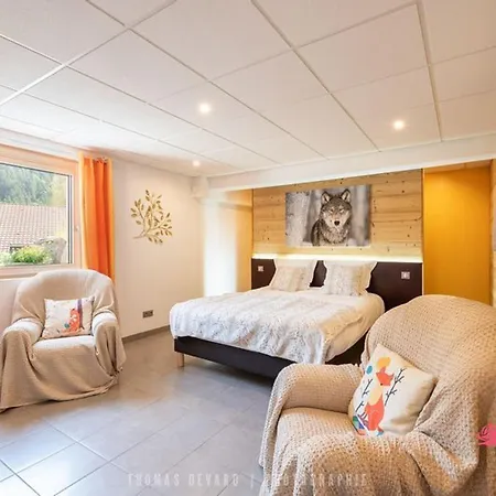 Apartamento Cosy Avec Sauna, Piscine Bio, Proche Et à - Fr-1-589-408 Gérardmer