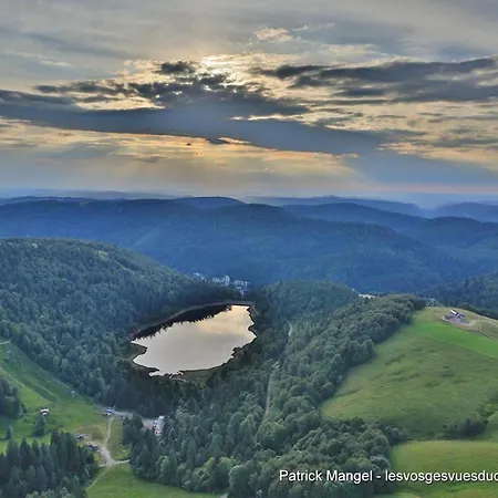 Cosy Avec Sauna, Piscine Bio, Proche Et à - Fr-1-589-408 Gérardmer