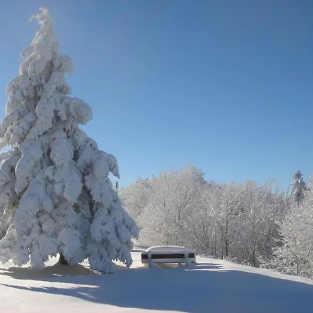 Cosy Avec Sauna, Piscine Bio, Proche Et à - Fr-1-589-408 Apartamento