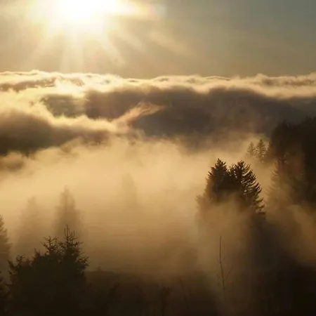 Apartamento Cosy Avec Sauna, Piscine Bio, Proche Et à - Fr-1-589-408 Gérardmer