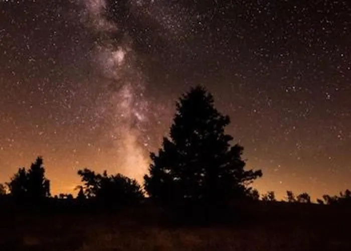 Cosy Avec Sauna, Piscine Bio, Proche Et A - Fr-1-589-408 * Gérardmer