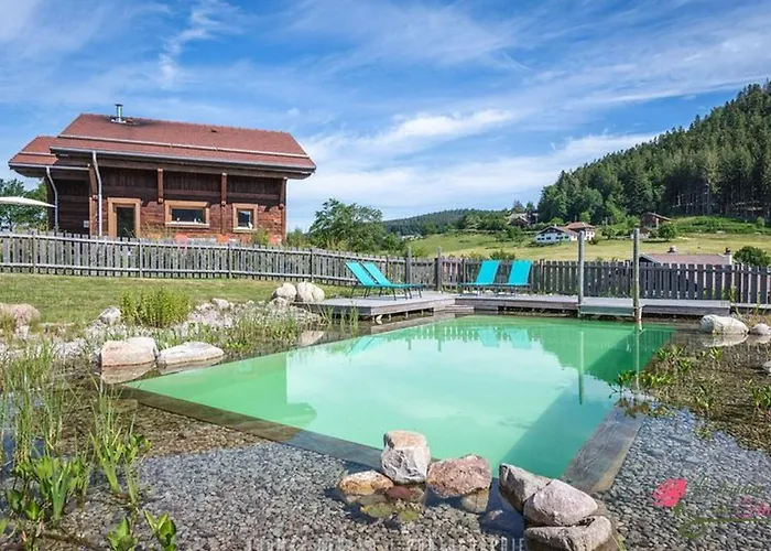 Cosy Avec Sauna, Piscine Bio, Proche Et A - Fr-1-589-408 *