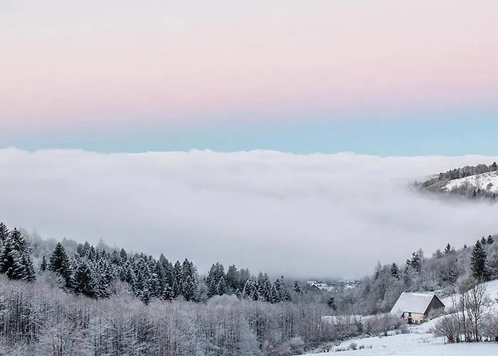 Cosy Avec Sauna, Piscine Bio, Proche Et A - Fr-1-589-408 Apartmán Gérardmer