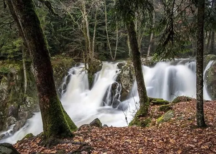 Cosy Avec Sauna, Piscine Bio, Proche Et A - Fr-1-589-408 Gérardmer