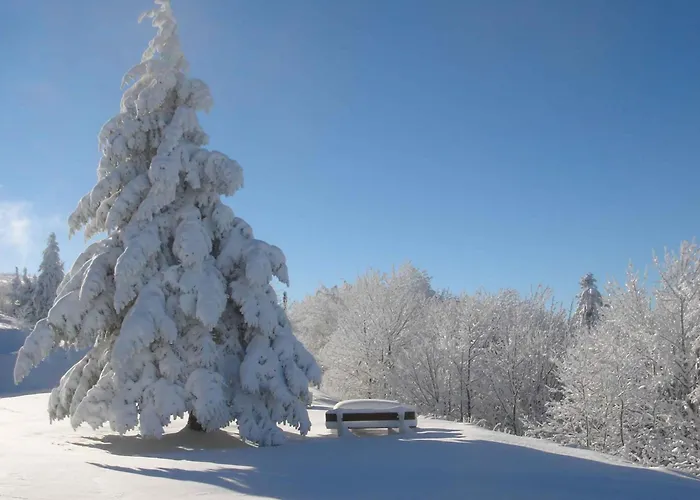 Cosy Avec Sauna, Piscine Bio, Proche Et A - Fr-1-589-408 Apartmán