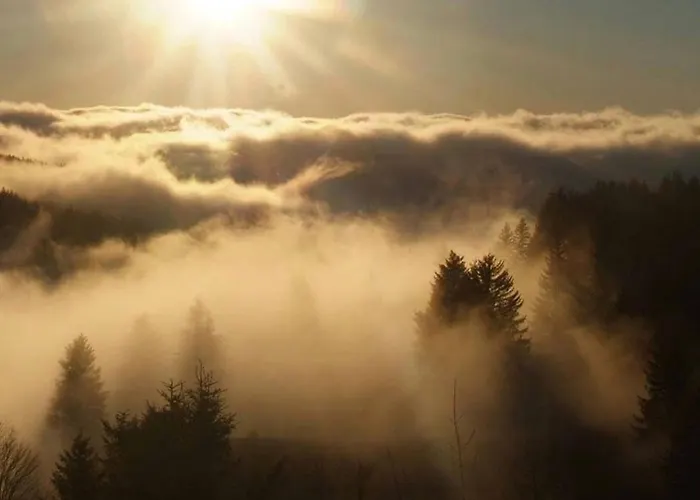 Apartmán Cosy Avec Sauna, Piscine Bio, Proche Et A - Fr-1-589-408 Gérardmer