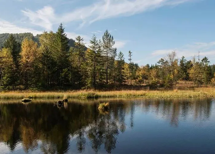 Cosy Avec Sauna, Piscine Bio, Proche Et A - Fr-1-589-408